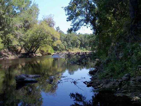 5th image of NE Chervil Dr