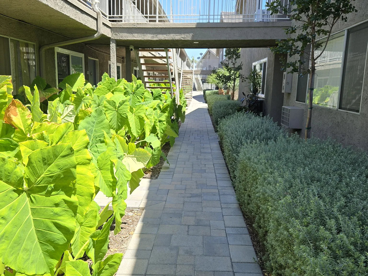 Kimberly Thor Apartments — Photo 4
