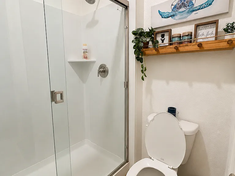 Downstair bathroom shower