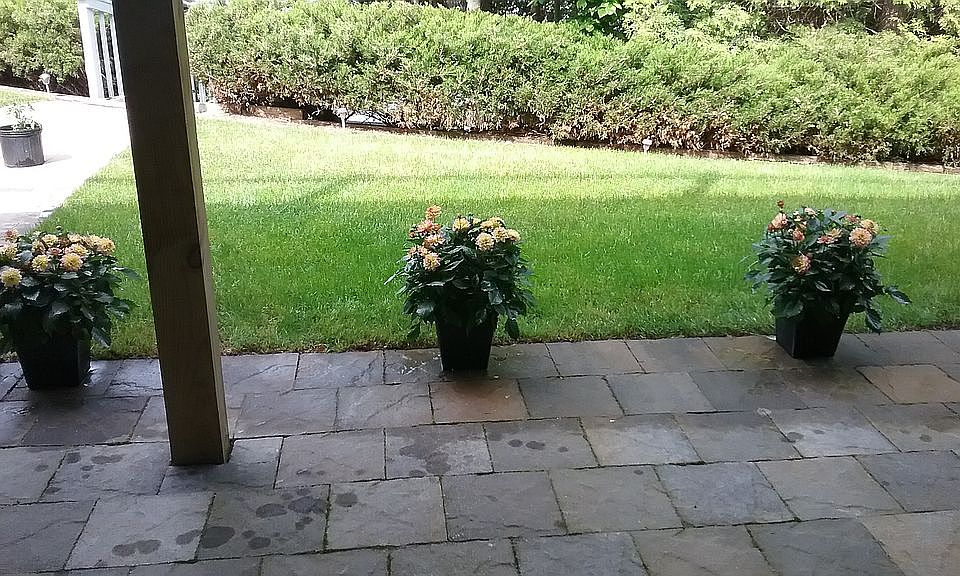 2nd image of 5341 Lakeview Dr