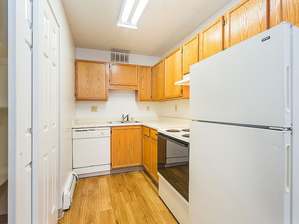 Fir Tree_CS_Summer2018_09