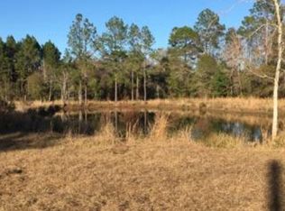 1509 Ed Harrell Rd, Hortense, GA 31543