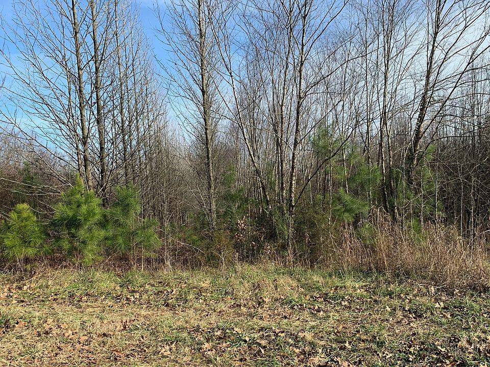 2nd image of County Road 347