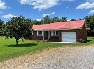 4039 State Route 45 S, Mayfield, KY 42066
