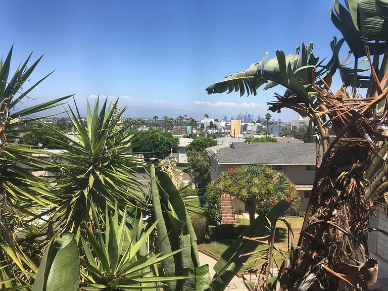 window view
