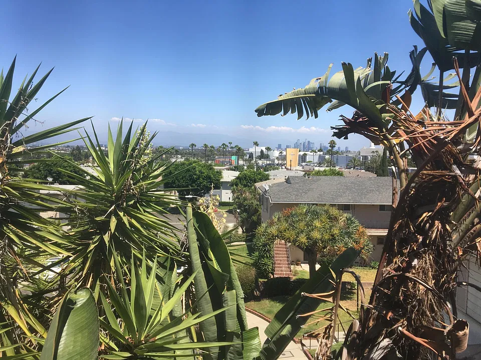 window view