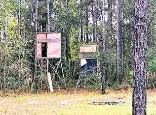 820 N Whitetail Dr #0, Perry, FL 32348