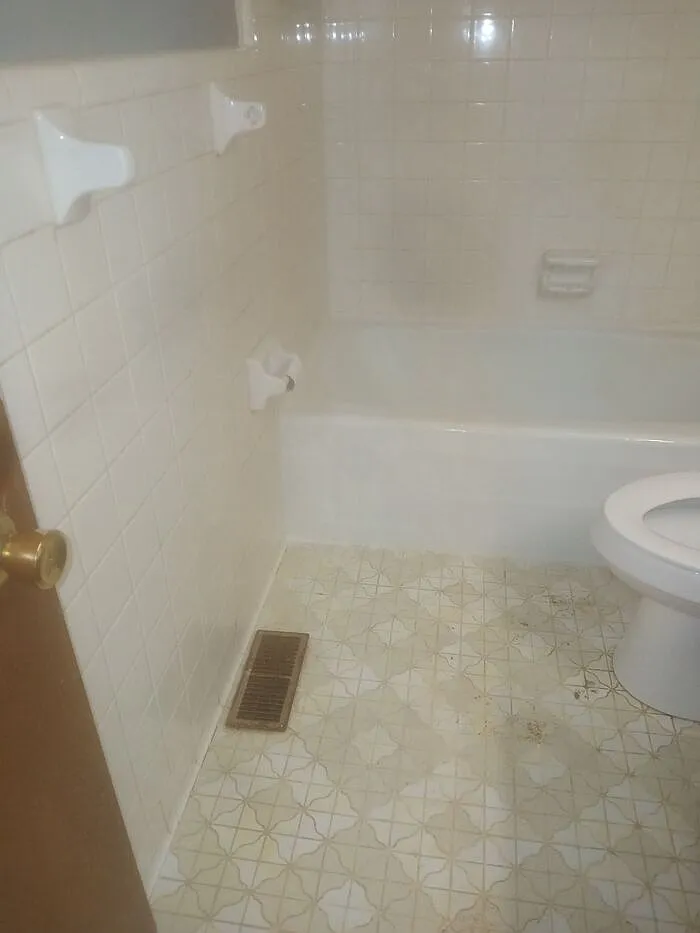 2 bed, 1.5 bath, 1000 sqft, $875 — Photo 3