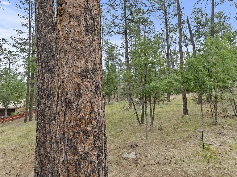 100 Apache Hills Dr #B — Photo 18