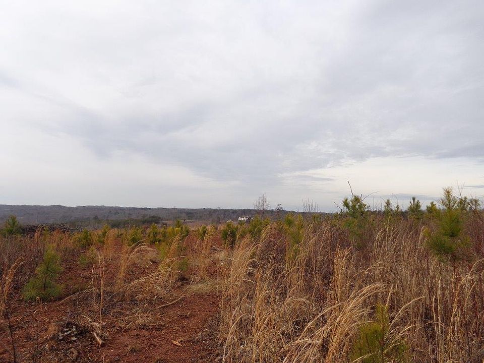 1st image of Martinsville Loop