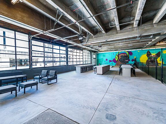 Indoor Dog Park