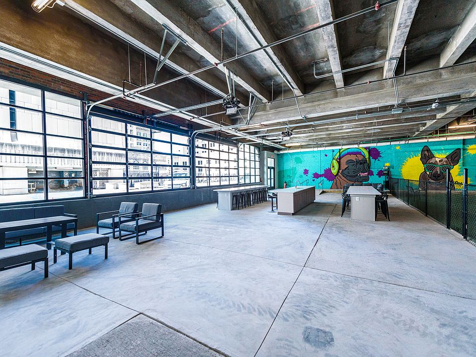 Indoor Dog Park