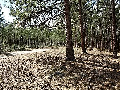 Heading west out of cabins entrance.