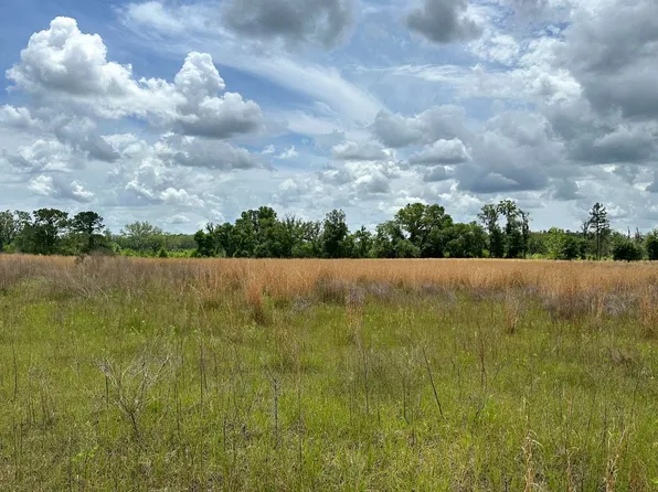 NW Levi Gln Lot 1, Lake City, FL 32055