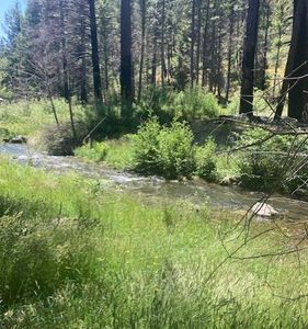 1011 Wildwood Mad River Rd, Ruth, CA, 95526