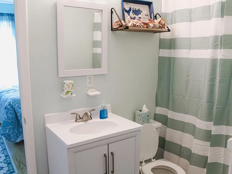 full bath 1, downstairs