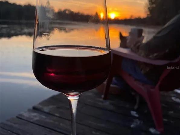 14730 SE 61st Street Rd, Ocklawaha, FL 32179