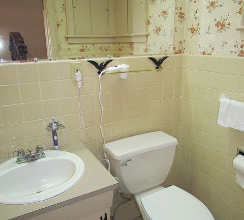 5th image of 535 Beacon Hill Dr