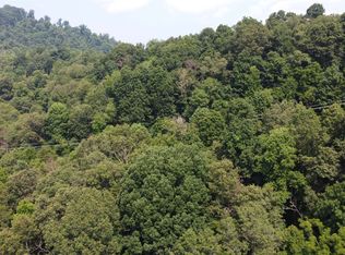 138 England Rd, Canton, NC 28716