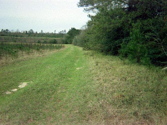 5th image of Hwy 13 - Lamar County