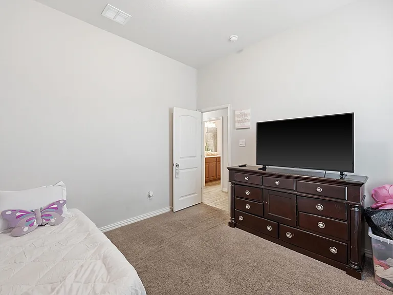 196 Lady Bird Dr — Photo 36
