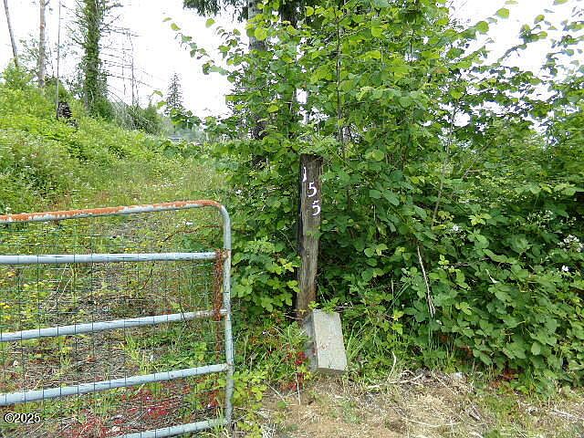 2nd image of 155 N Panther Creek Rd