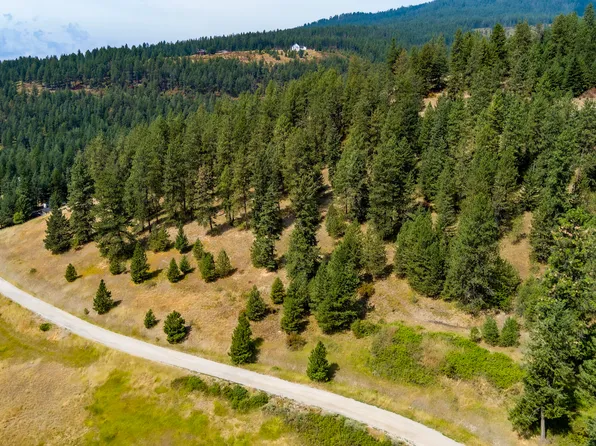 700D Dry Gulch Rd, Colville, WA 99114