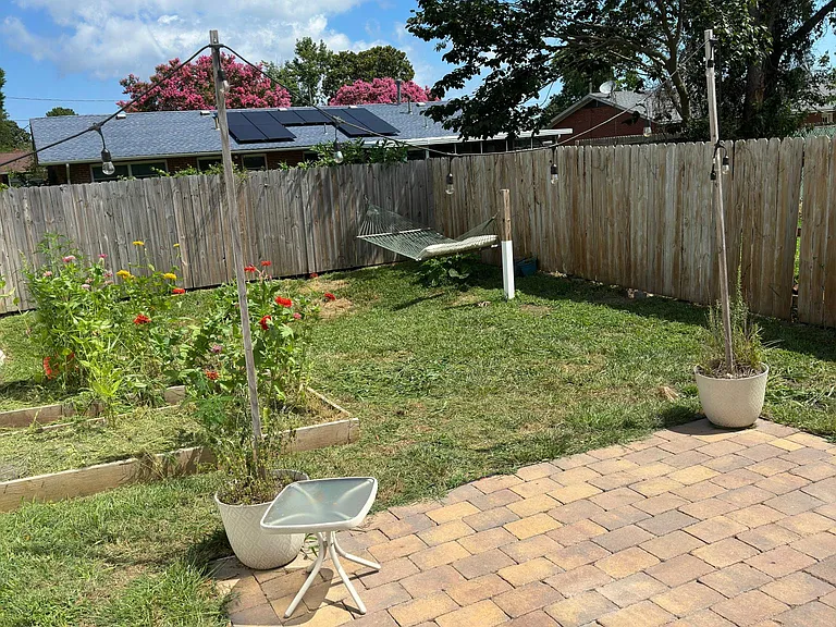 Back yard