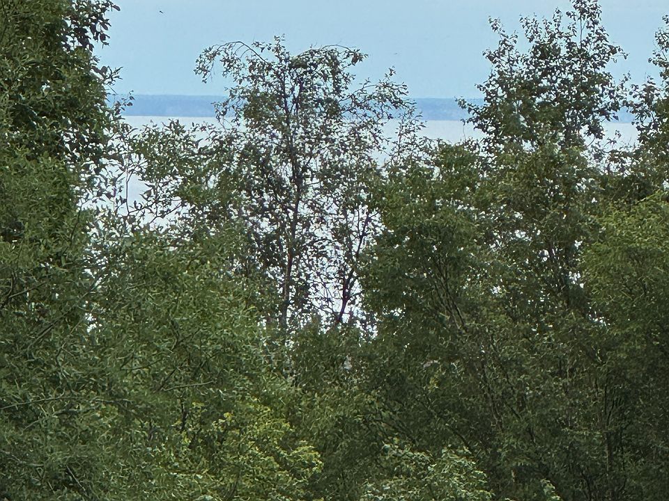 peekaboo Turnagain arm view from the apt