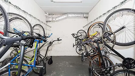 Rented by GreeneTree Management LLC