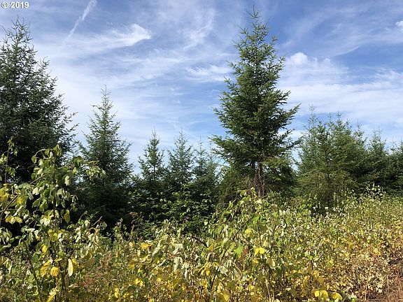 2nd image of 16205 Old Highway 99 N