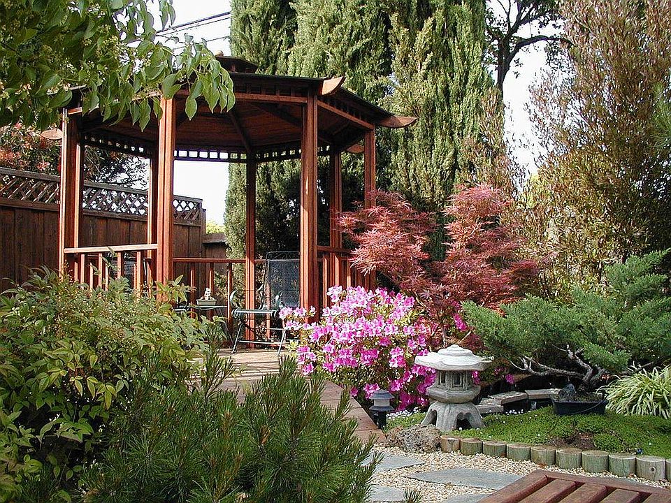 Backyard1