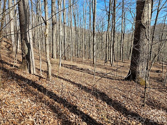 3rd image of 262 Si Knob Rd