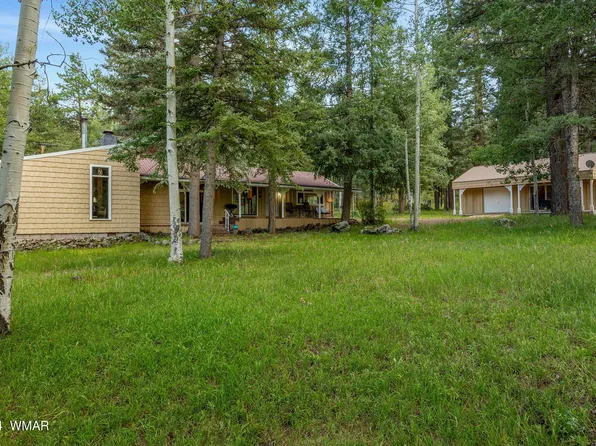 21 County Road 2043, Alpine, AZ 85920