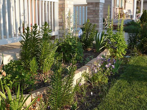 Lovely perrenial gardens...