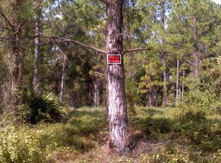 128 Natick Ave S, Lehigh Acres, FL 33974