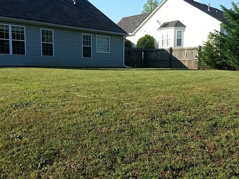 Big backyard
