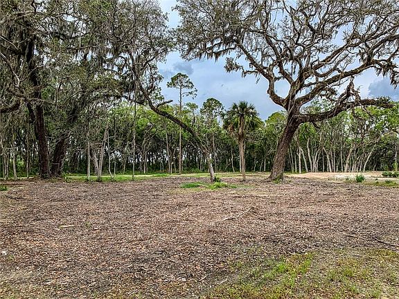 2nd image of 21 Bald Eagle Ct