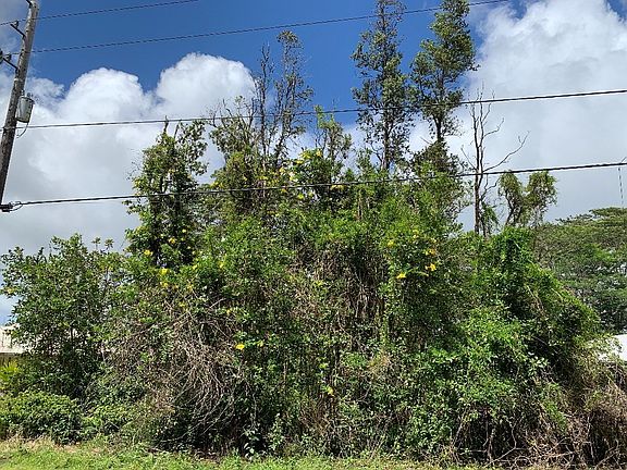 4th image of Uilani Dr Lot 9