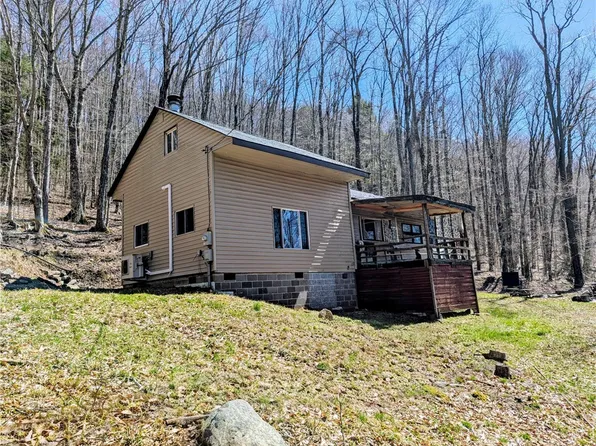 198 Spring Run Rd, Smethport, PA 16749