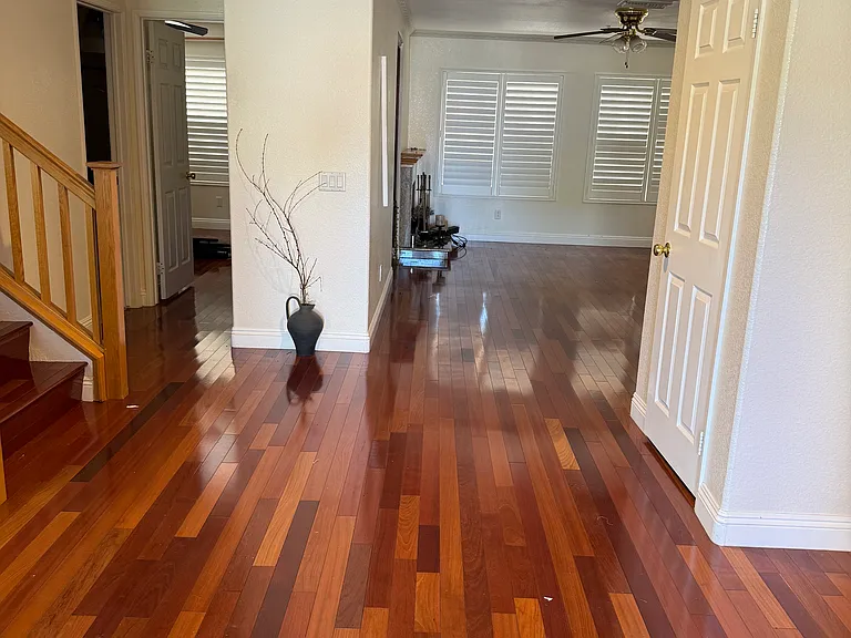 26319 Antonio Cir — Photo 2