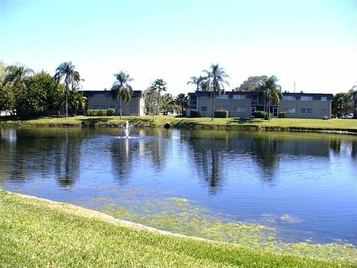 View of Pond