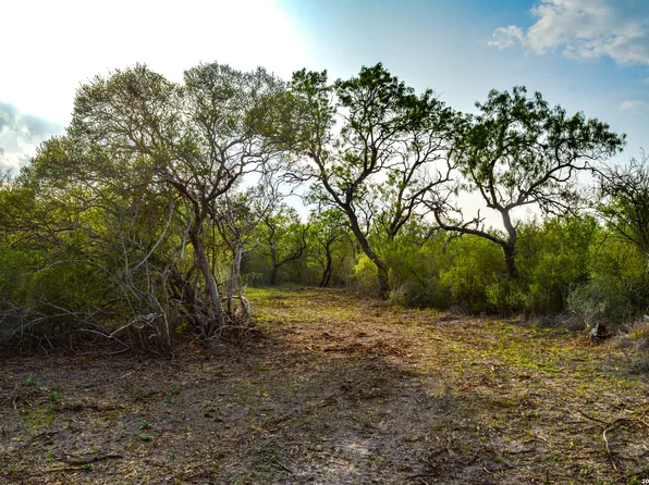0 Cr 207, Tuleta, TX 78146