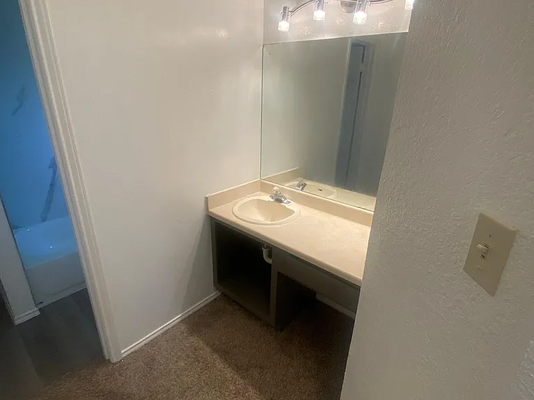 1709 Horseshoe Cir #1709 — Photo 13