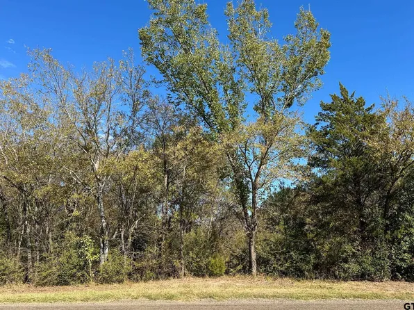 Fm 1799, Mineola, TX 75773