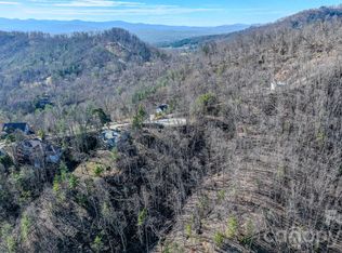 99999 High Bluff Dr, Weaverville, NC 28787