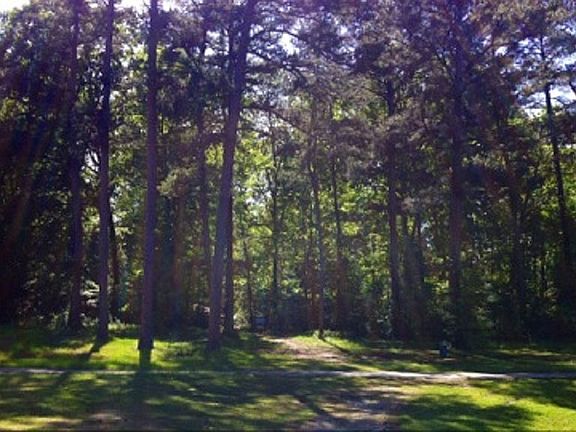 Golf cart path-back of lot