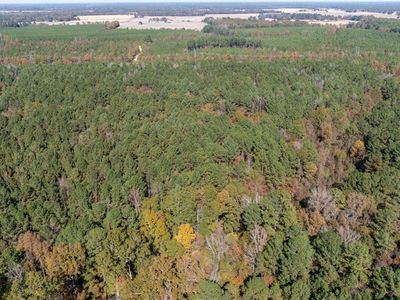 J C Prestage Rd, Pelahatchie, MS, 39145