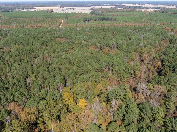 J C Prestage Rd, Pelahatchie, MS 39145