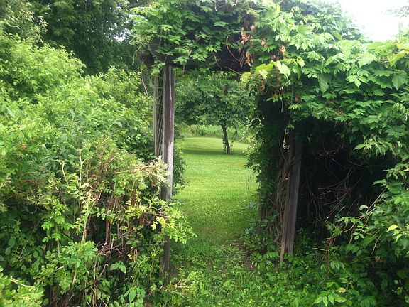 Wisteria arbor to fire pit